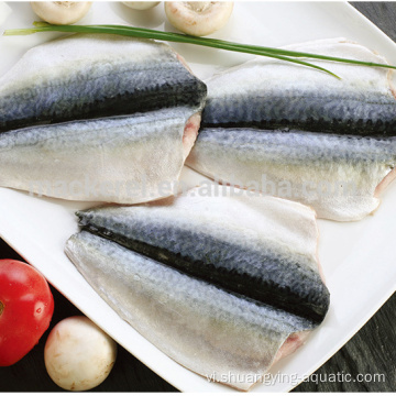 Cá đóng băng Pacific Mackerel vạt với tiêu chuẩn EU